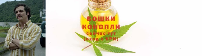 спиды Ладушкин