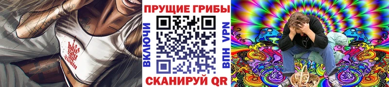 Галлюциногенные грибы Cubensis  Луга 