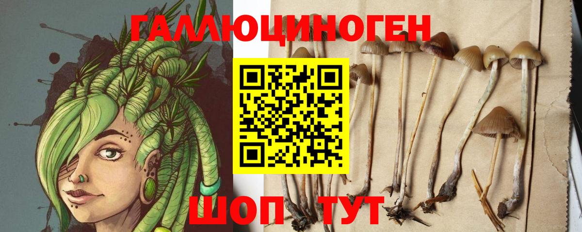 магазин    Вход с VPN  Луга  Галлюциногенные грибы Magic Shrooms 